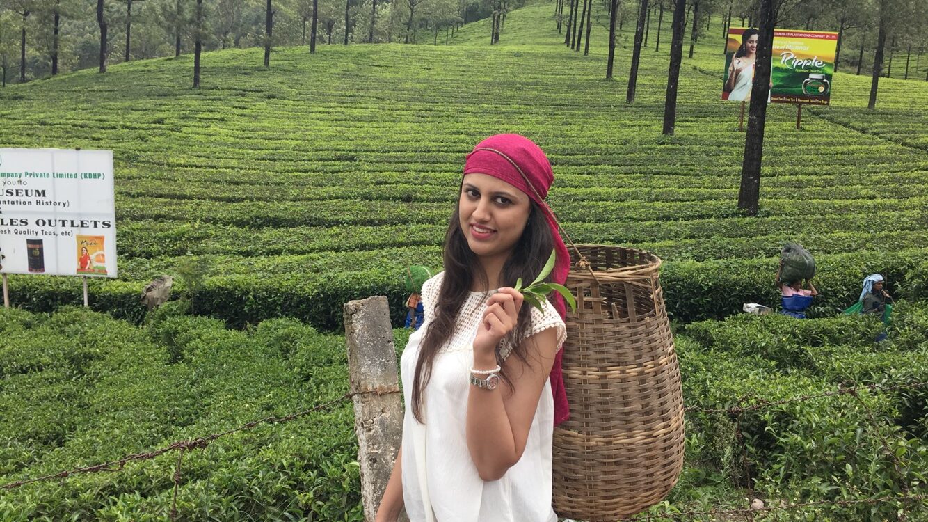 Munnar Tea Gardens | Asia s biggest tea estate